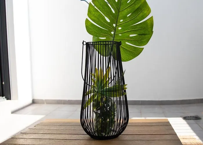 公寓 Sweet San Francisco 阿利坎特